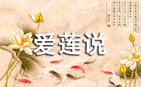 舞蹈爱莲说观后感范文