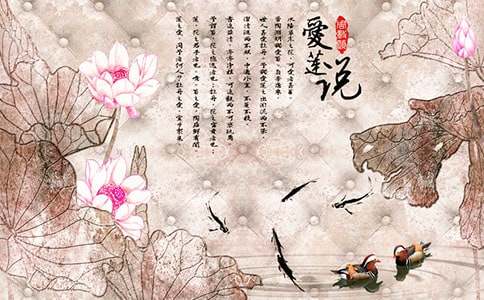 爱莲说读书心得体会