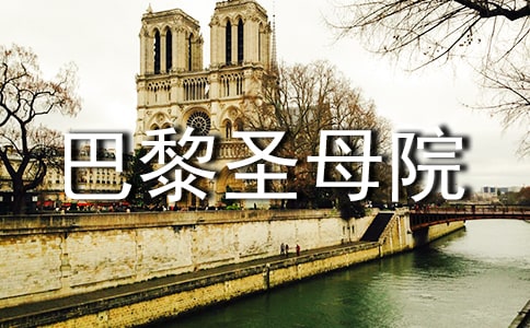 读《巴黎圣母院》有感集锦