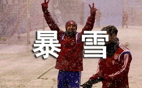 暴雪天气应急预案