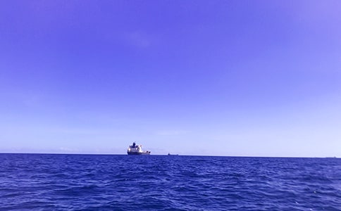大海睡了诗歌赏析与解读