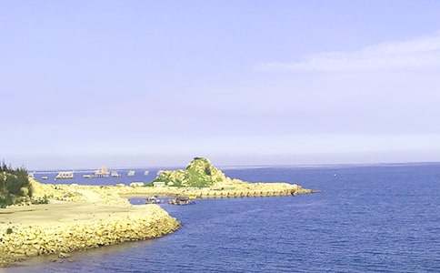 梦见在大海里奔跑