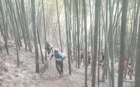 登山的作文400字