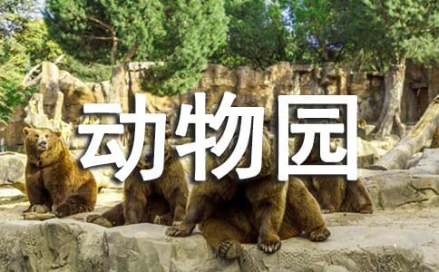 动物园作文600字(经典4篇)