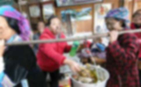 ���ڼҵķ�������500��6ƪ