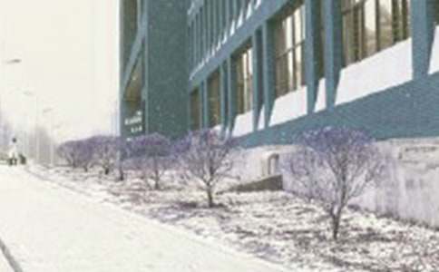 ���ڷ�ѩ������600��3ƪ