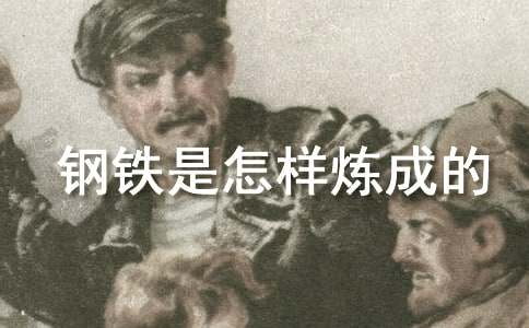 关于钢铁是怎样炼成的好词好句