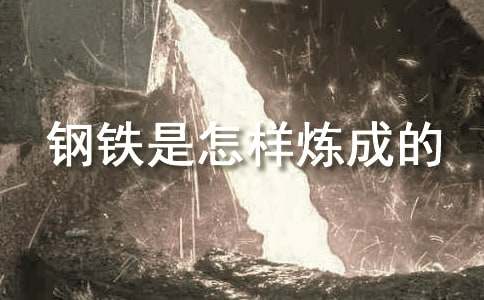 《钢铁是怎样炼成的》好词好句摘抄
