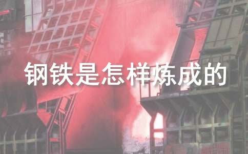 《钢铁是怎样炼成的》好词好句好段摘抄