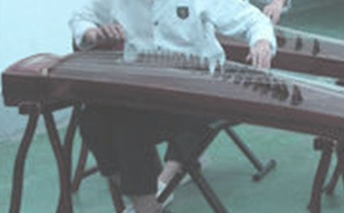 古筝教学总结11篇(优)
