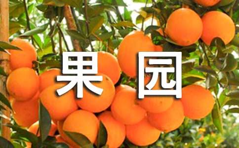 精选果园作文600字9篇
