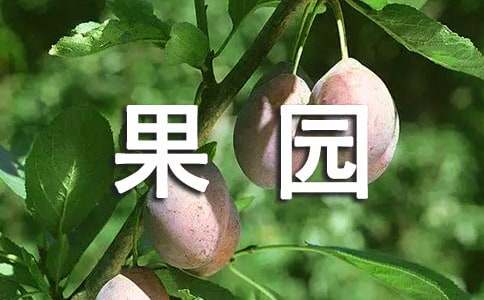 果园作文400字