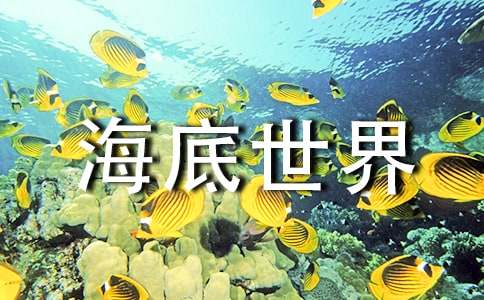 海底世界教学反思(精选20篇)