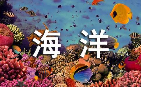做生意的人梦见海洋