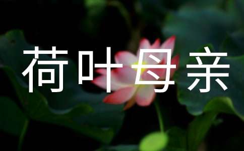《荷叶母亲》教学反思
