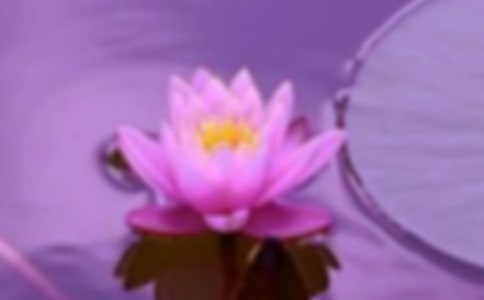 ��г500������15ƪ[ʵ��]