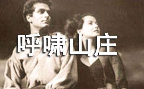 呼啸山庄读书笔记精选