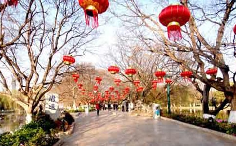 节日慰问信