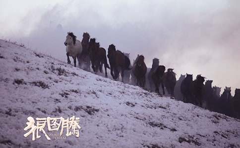 狼图腾读书笔记三百字