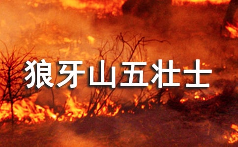 读狼牙山五壮士有感范文