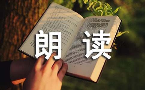 朗读者观后感作文