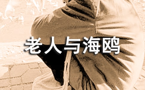 《老人与海鸥》说课稿范文