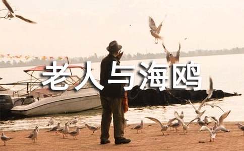《老人与海鸥》说课稿