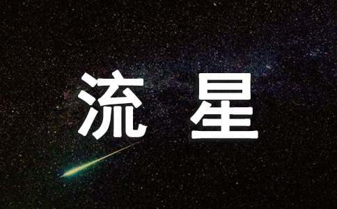 【必备】流星作文500字4篇
