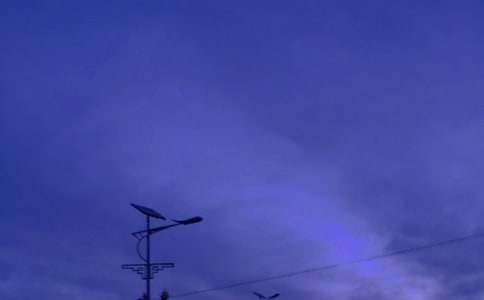 路灯的作文600字4篇