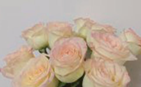 【精华】玫瑰花的观察日记3篇