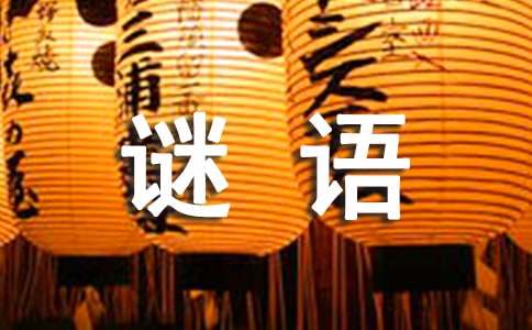 梦见谜语 猜谜