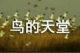鸟的天堂导游词