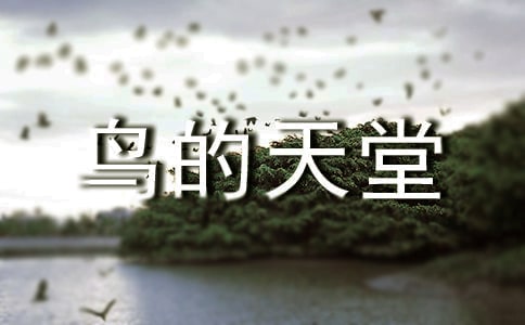《鸟的天堂》语文教学反思15篇
