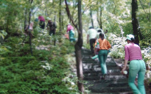 梦见旅游爬山