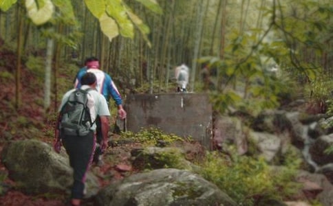 员工爬山活动策划方案