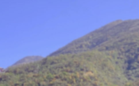 有关爬山日记集合十篇