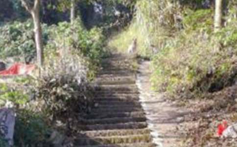 梦见攀缘爬山