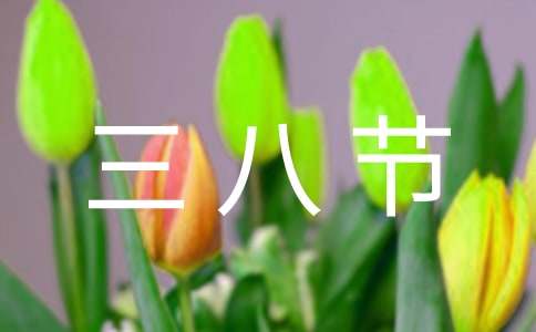 三八节活动总结作文