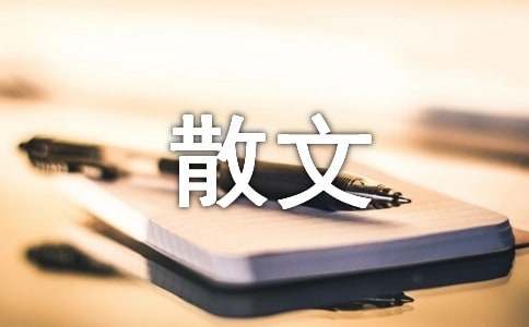 一句情话-情感散文