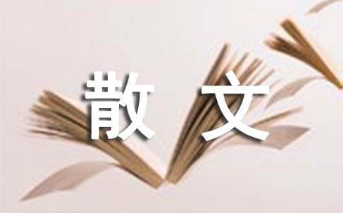 我想对你说上一世情话散文