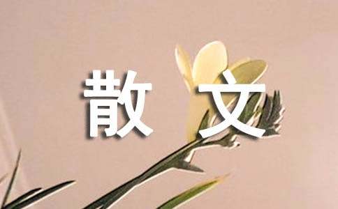 我所有的情话只说给你听散文