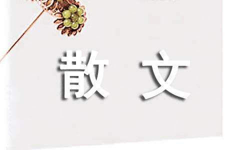 我们在最美的诗词歌赋里相遇散文