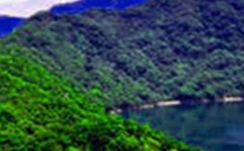 ��ѡдɽˮ����600��4ƪ