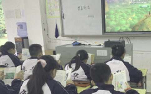 礼仪上课心得体会