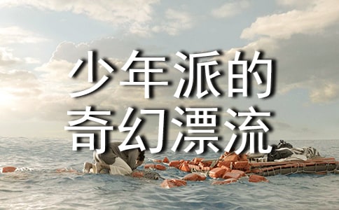 电影《少年派的奇幻漂流》观后感(通用34篇)