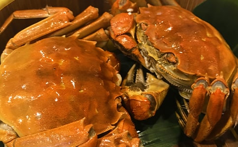 突发食物中毒应急预案通用