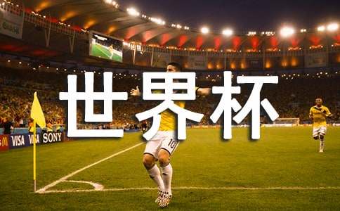 世界杯的观后感7篇
