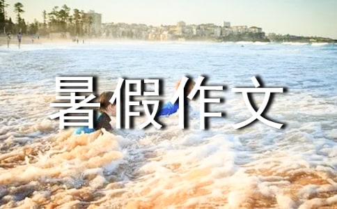 暑假作文500字