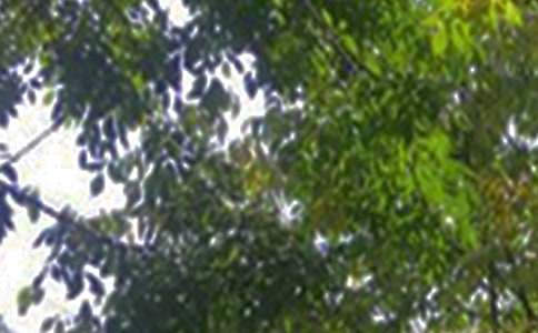 温馨的午安QQ问候语集锦69句