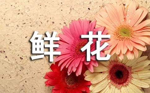 梦见白色的鲜花